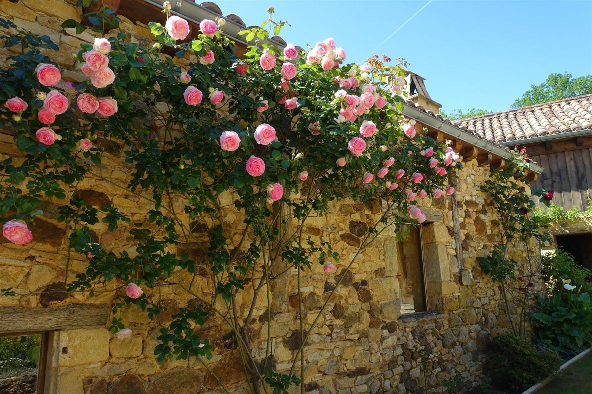 Domaine De Cournet Haut, A 17Th Century Property Set On A Calm, Idyllic Domain With Pool, Tennis, Bikes And More Les Vauries Kültér fotó